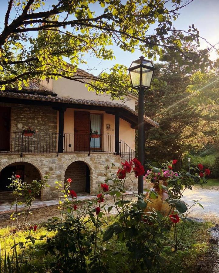Le Querce Di Assisi Guest House Piano Delle Pieve Екстериор снимка